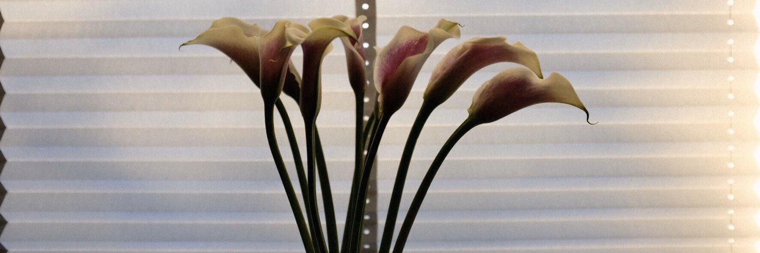 sootdtb's profile banner image