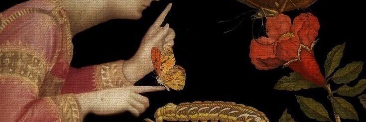 manaflly's profile banner image