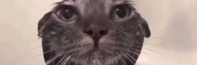 UwUlover04's profile banner image