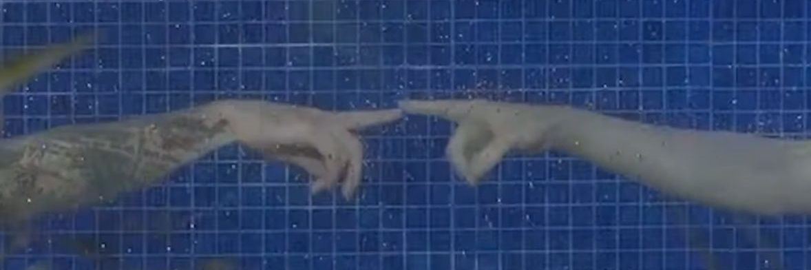 Clauu⁷ 🌱 banner