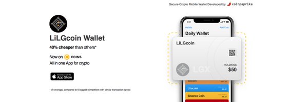 LiLGcoin Developers  Profile Banner