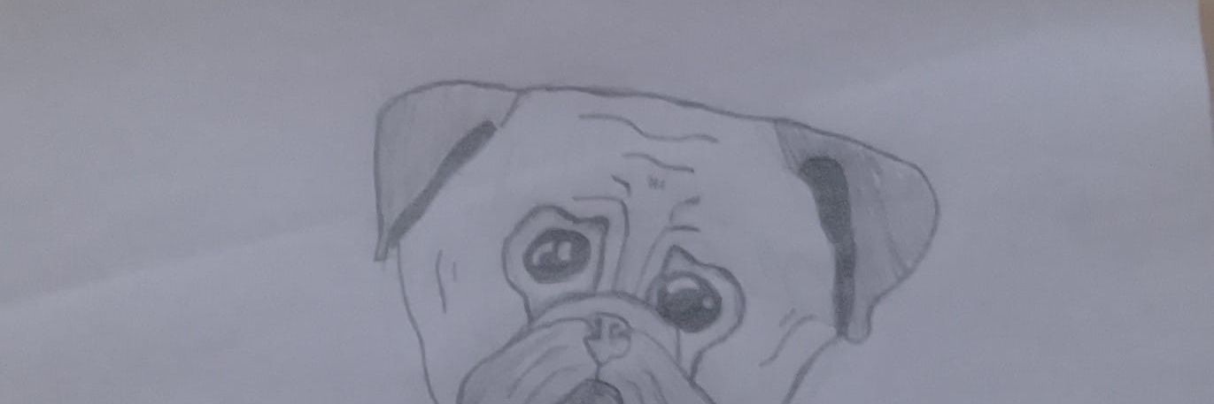 vellerino2's profile banner image