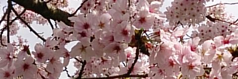 bsit965's profile banner image