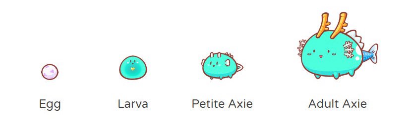 Ansel.ron 🦇 🔊 banner