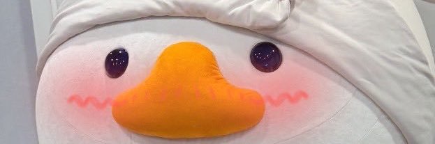 pp6d_ss's profile banner image