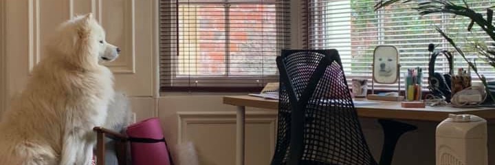 bxxtrice's profile banner image