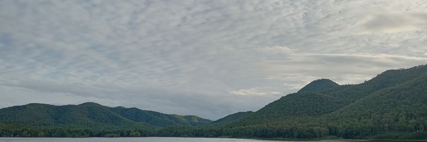 Bomking3654's profile banner image