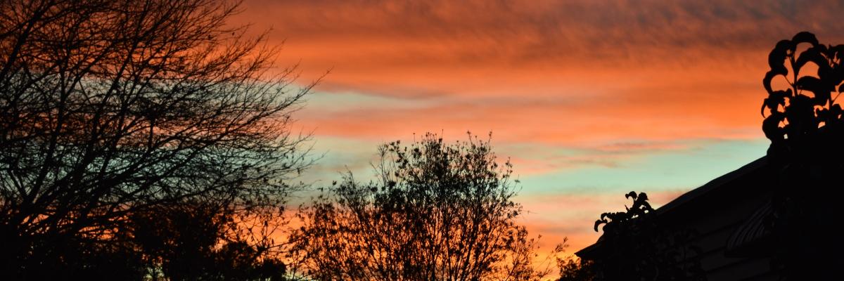 SheDarkling's profile banner image
