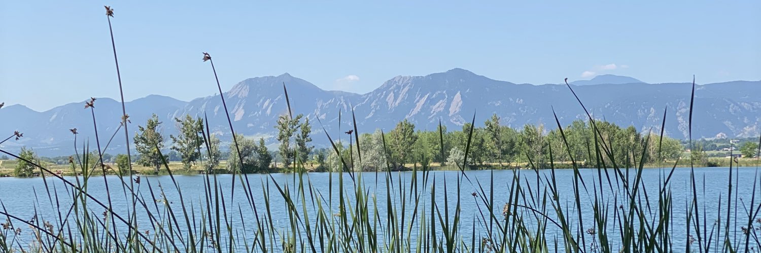 staceemcg's profile banner image