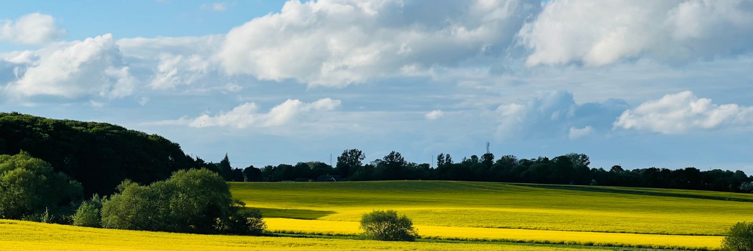 FuckerNecmi banner