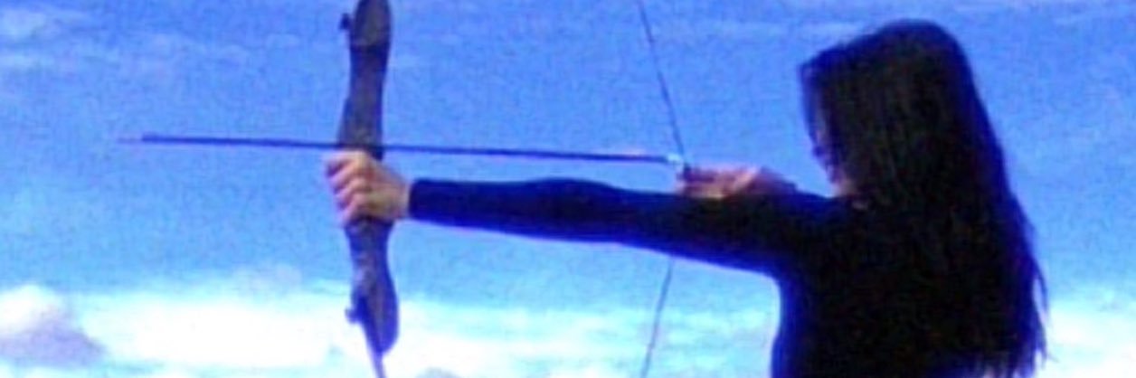 Leo banner