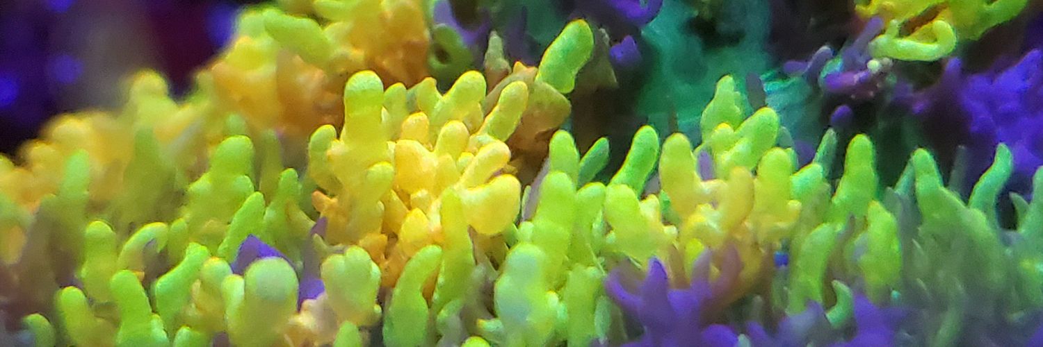 arnallop3's profile banner image