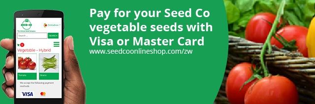 Seed Co Vegetables Zim's banner