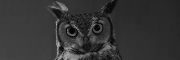 prismnav Profile Banner