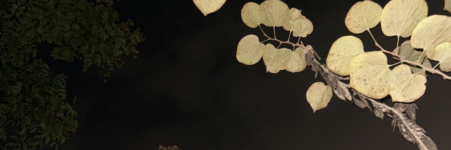 虫虫 banner