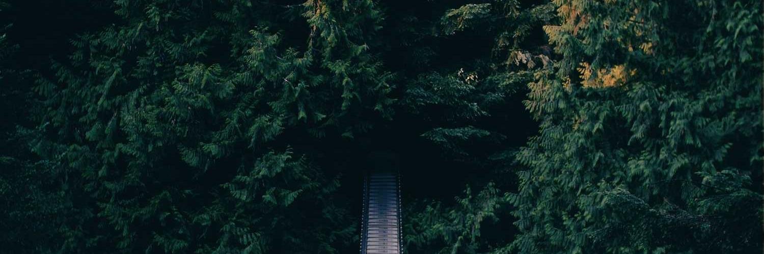 megothekill's profile banner image