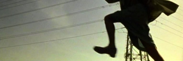 FermentedSkate banner