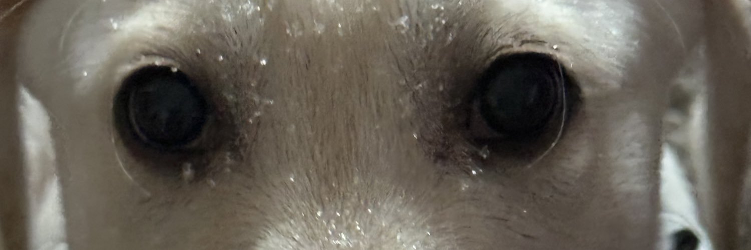 Musgrat74's profile banner image