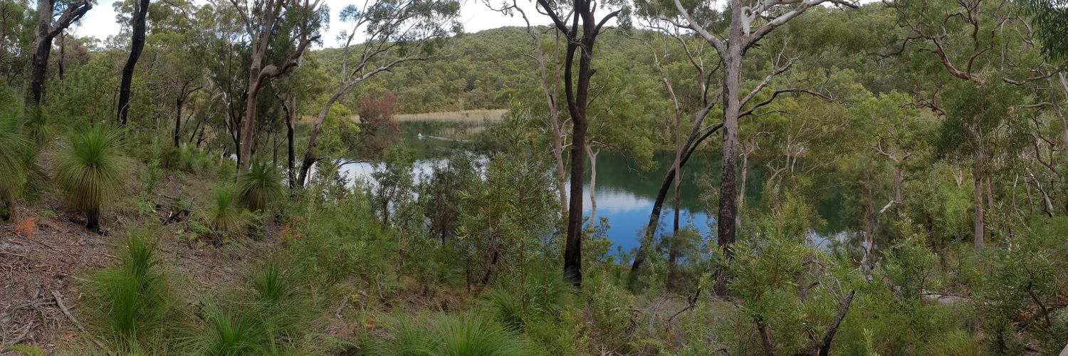 Jonathan Tyler banner