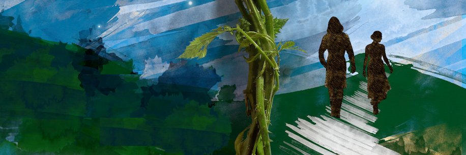 lit_starling banner