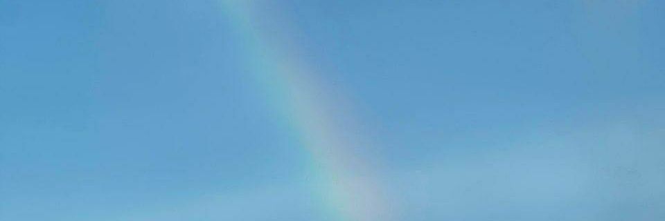 matchadimples's profile banner image