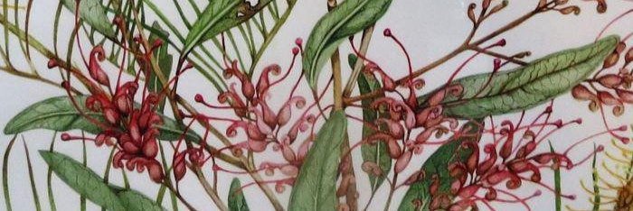 lde164's profile banner image