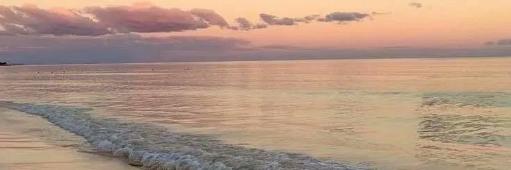 alphalouisee's profile banner image