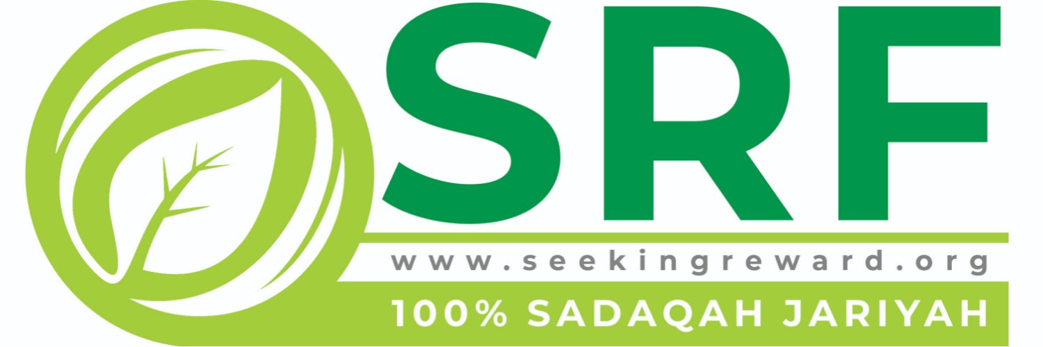 SeekingReward's profile banner image