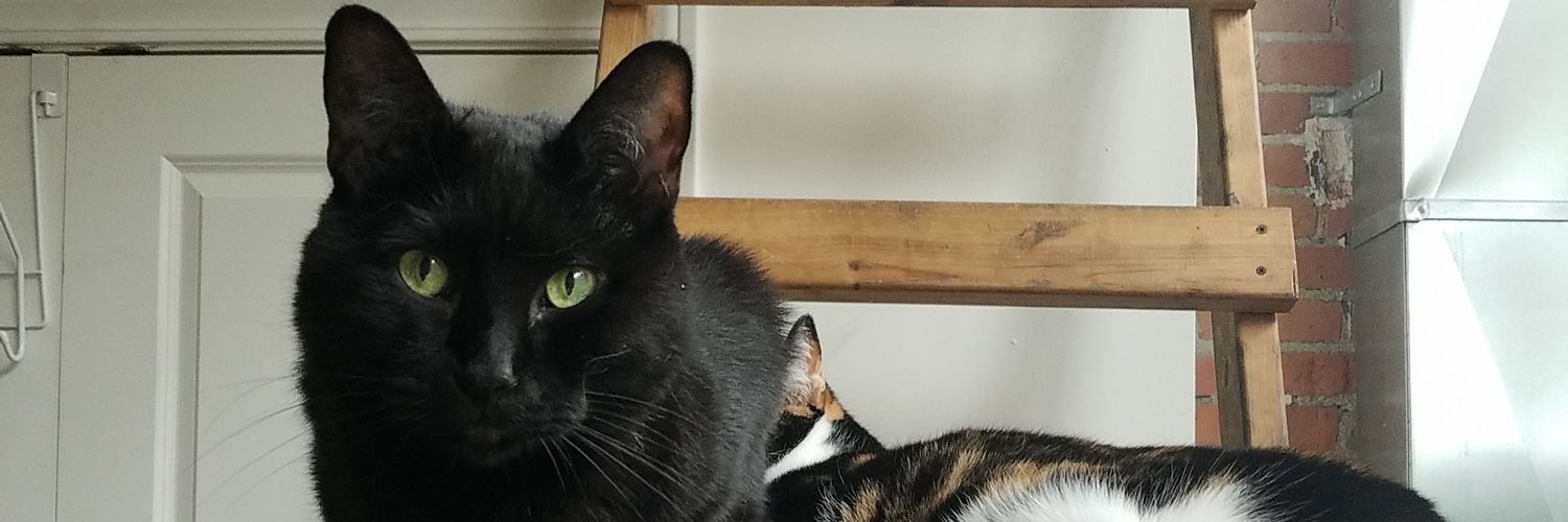 KristyCurrier's profile banner image