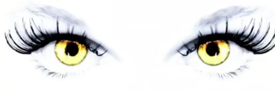 LashiousInc's profile banner image