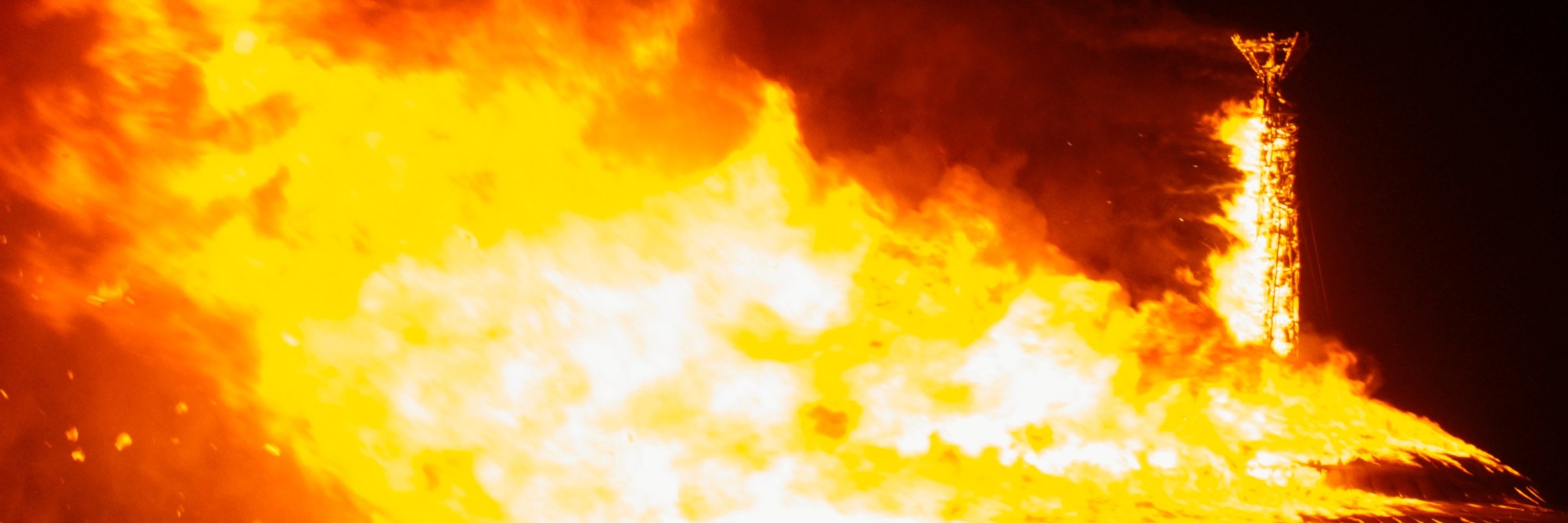 Robert Atkins banner