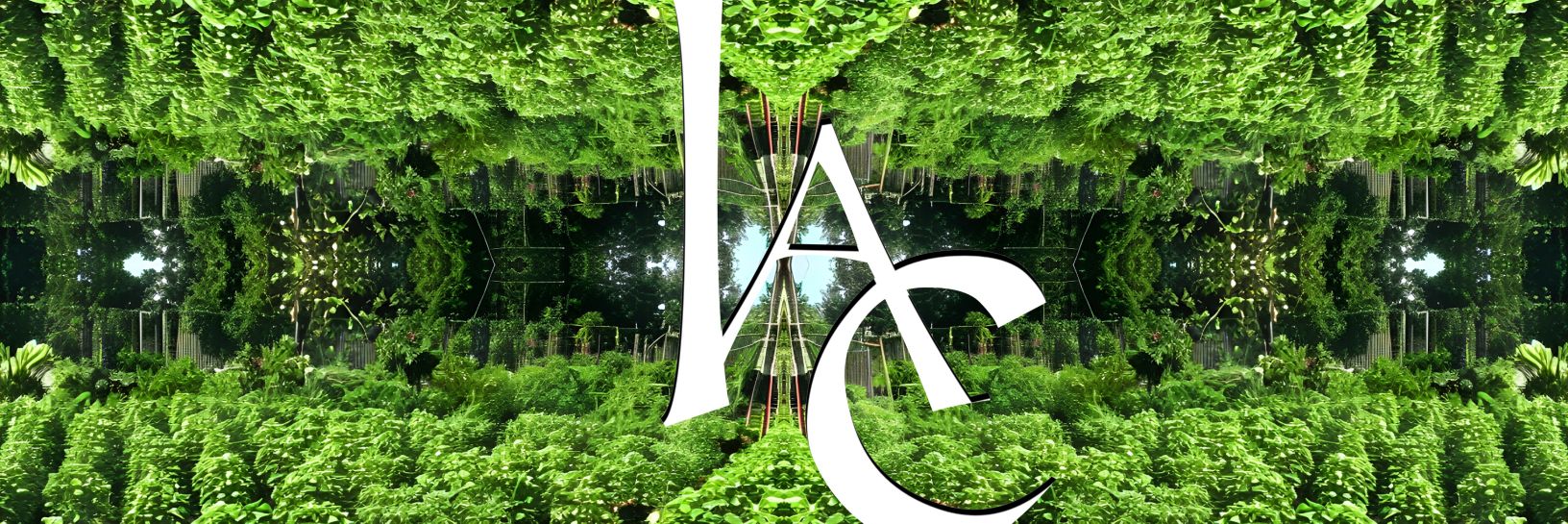 iamcymatics banner