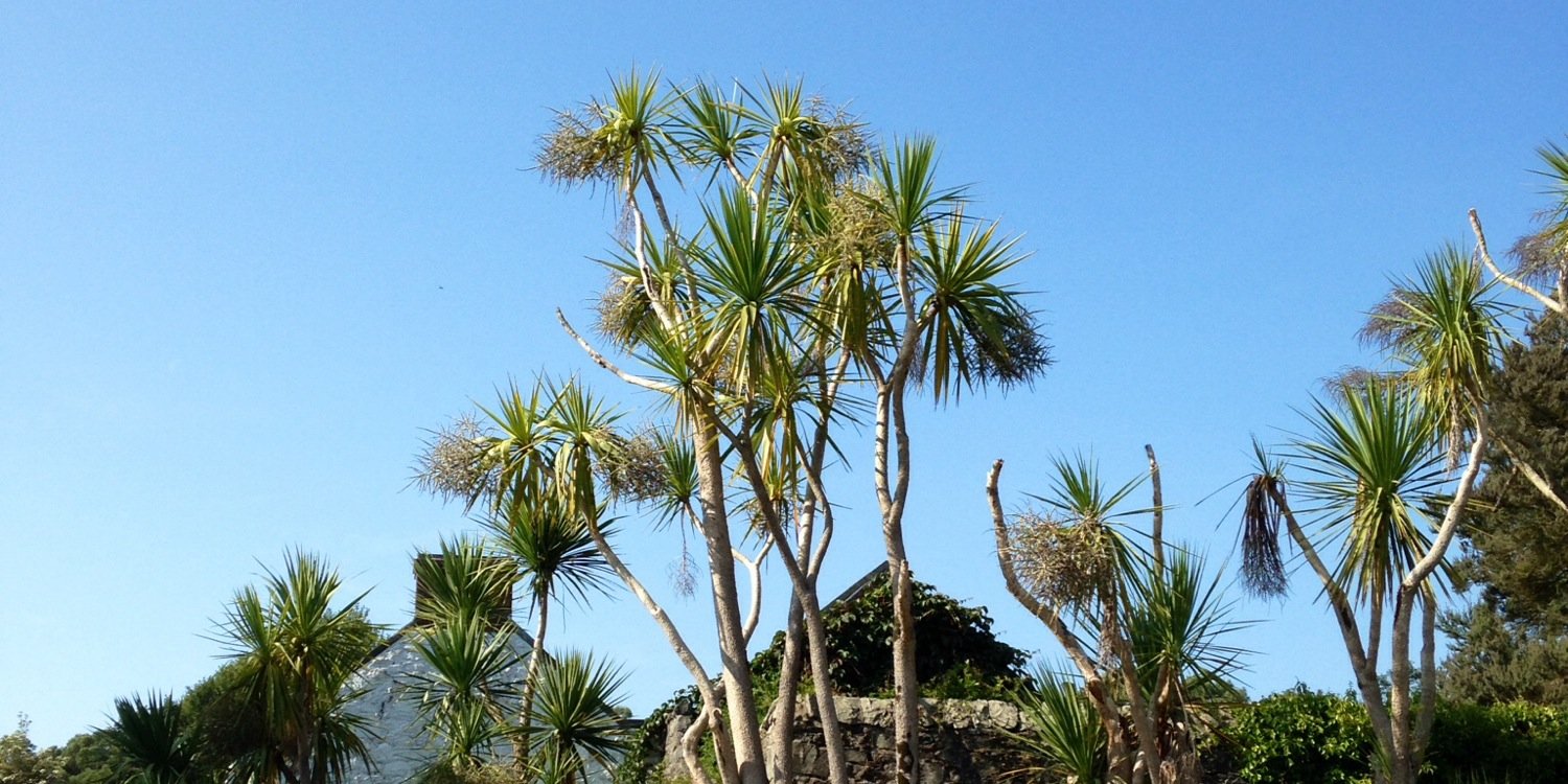 PortpatrickPix's profile banner image