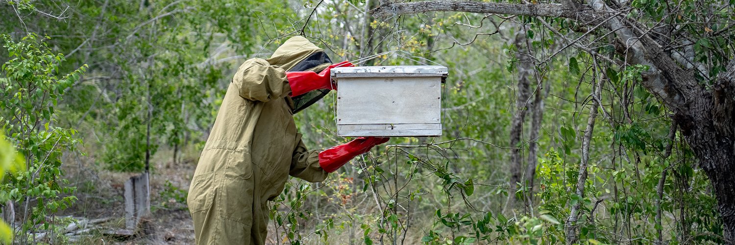 buyunibees's profile banner image