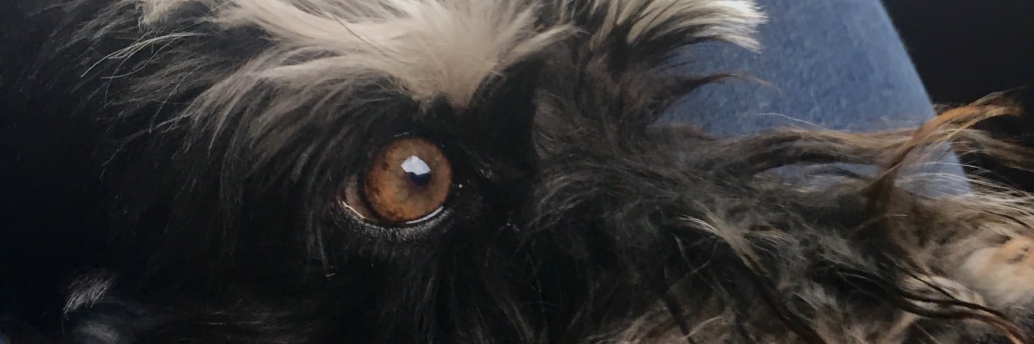 GenesisFelix's profile banner image