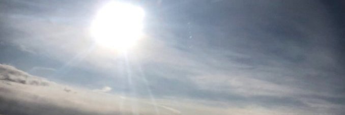 Iris banner