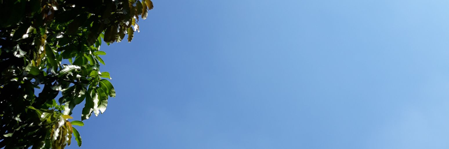 Pope_Montes's profile banner image