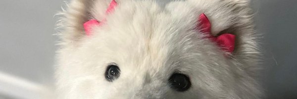 __BaiQ Profile Banner