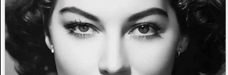 LadyofCannes's profile banner image