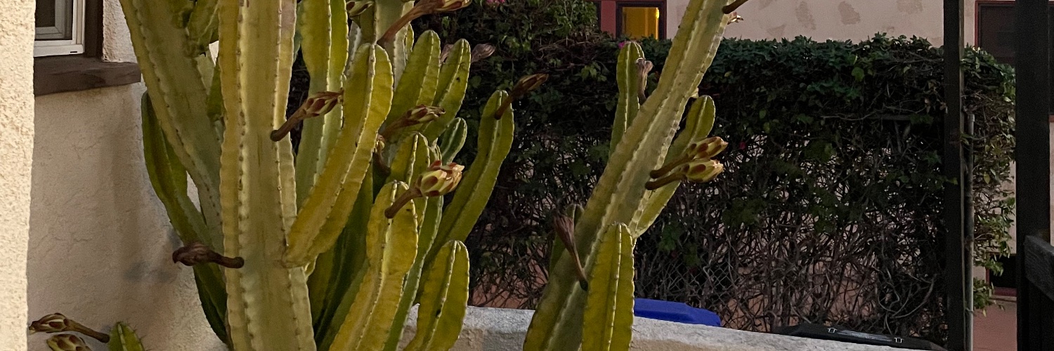 gelthealpha's profile banner image