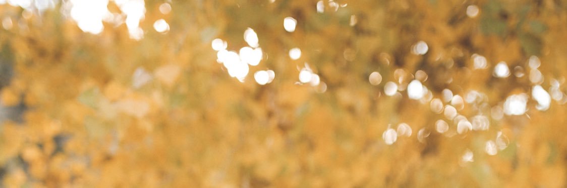 MoriahPera's profile banner image
