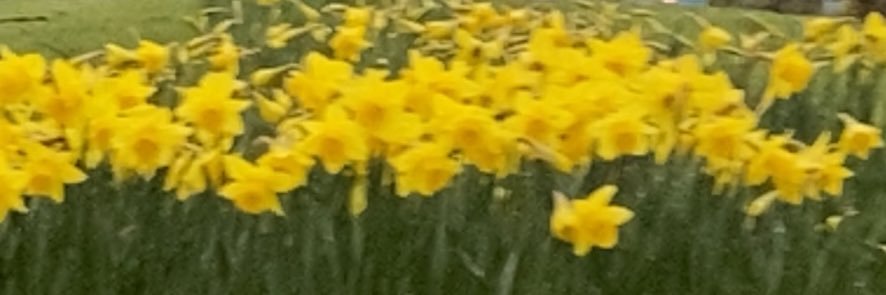 Warning.Camera banner