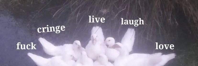 mirr0rb4II's profile banner image