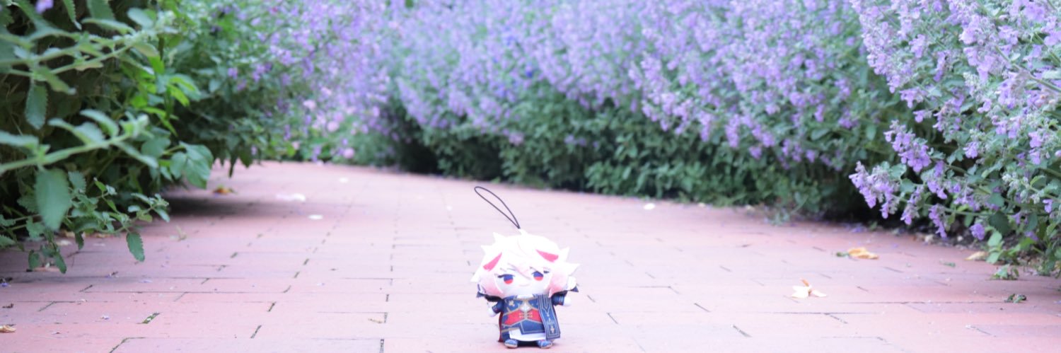 alktgn's profile banner image