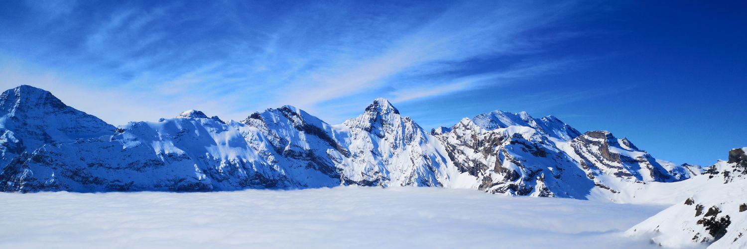 Craig Aldridge banner