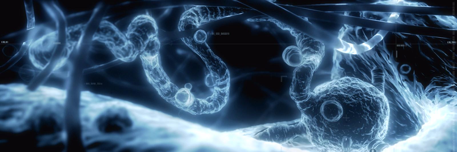 flafoux's profile banner image
