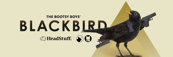 The Bootsy Boys' Blackbird Profile Banner