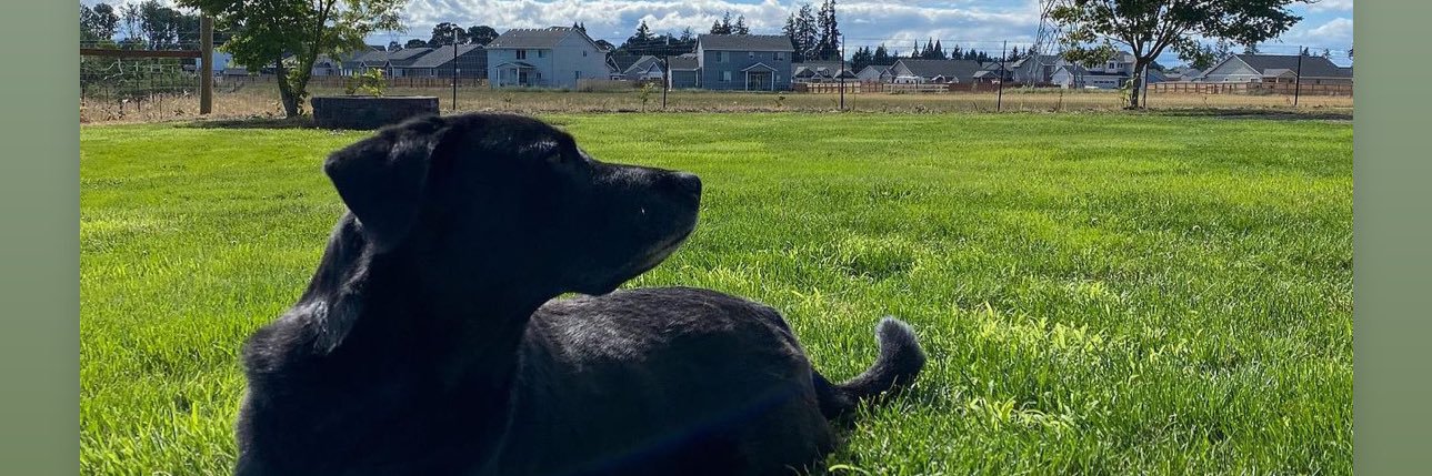 BigEeezy_'s profile banner image
