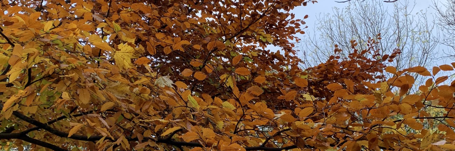 Simbi Sibanda banner