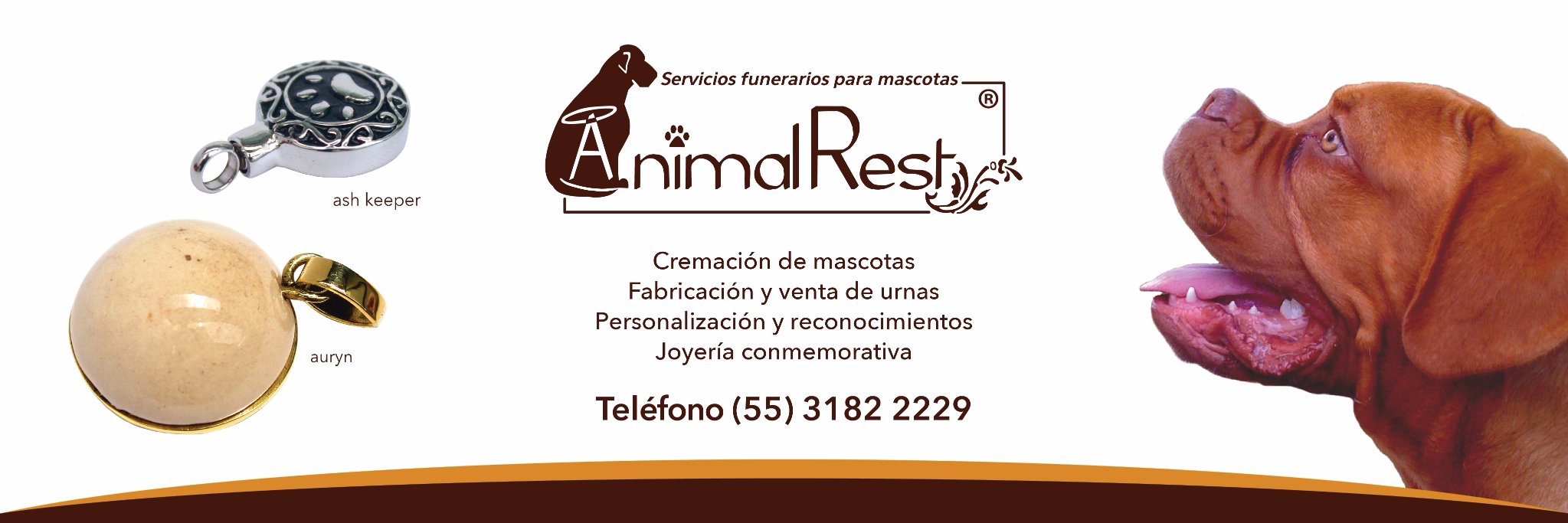 animalrestmx's profile banner image